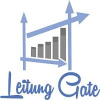 New Tech Job Vacancy: Leitung Gate Limited