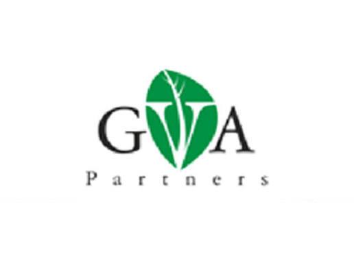 New Tech Job Vacancy: GV Alliance Partners Limited