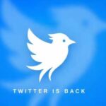 Twitter.now social network launched by Operation Bluebird amid Twitter trademark dispute with X