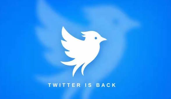 Twitter.now Launches as Startup Battles Elon Musk’s X Over Twitter Trademark